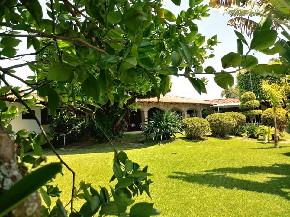 Hotel Alamo Internacional San Salvador Exteriör bild